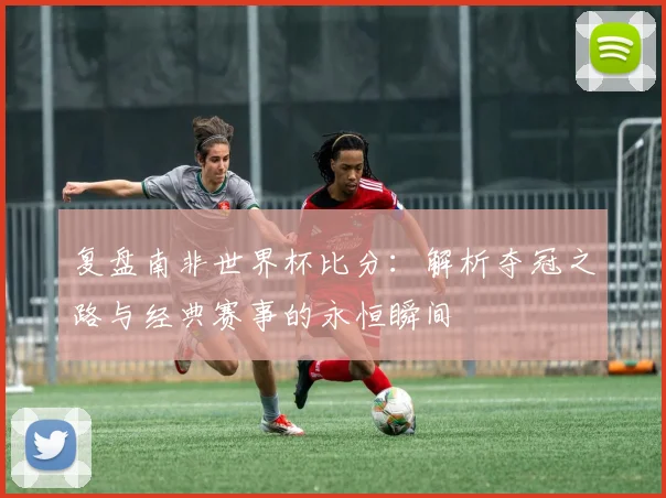 复盘南非世界杯比分：解析夺冠之路与经典赛事的永恒瞬间