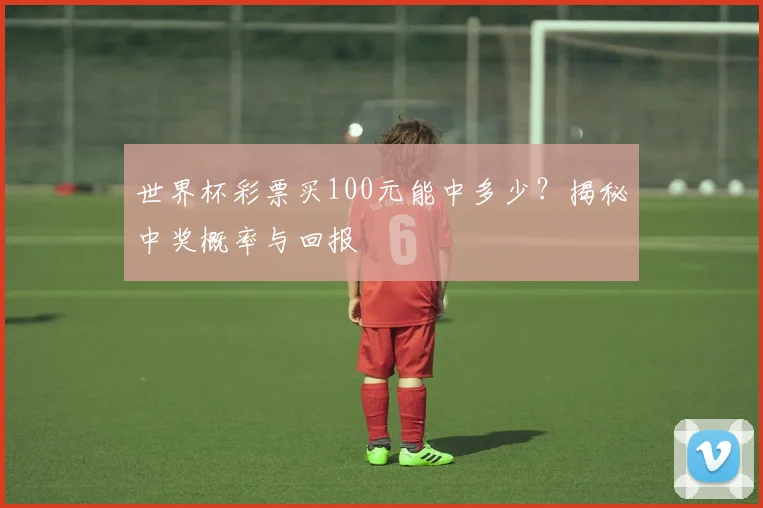 世界杯彩票买100元能中多少？揭秘中奖概率与回报
