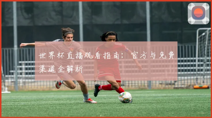 世界杯直播观看指南：官方与免费渠道全解析