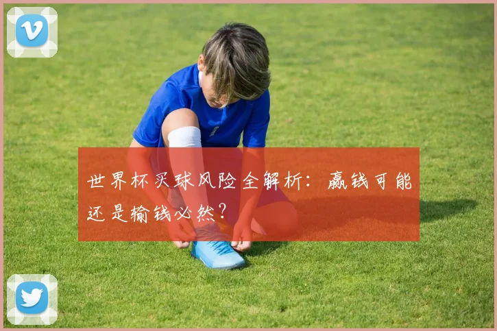 世界杯买球风险全解析：赢钱可能还是输钱必然？