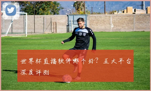 世界杯直播软件哪个好?五大平台深度评测