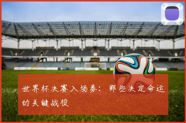世界杯决赛入场券:那些决定命运的关键战役