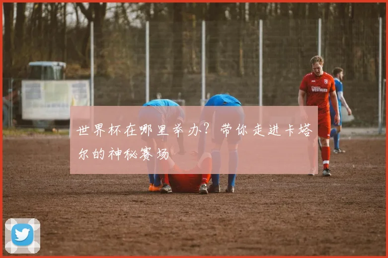世界杯在哪里举办？带你走进卡塔尔的神秘赛场